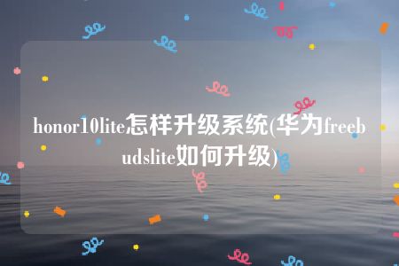 honor10lite怎样升级系统(华为freebudslite如何升级)