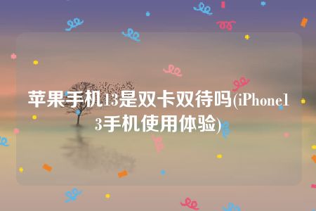 苹果手机13是双卡双待吗(iPhone13手机使用体验)