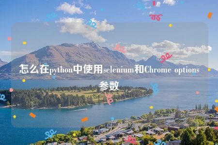 怎么在python中使用selenium和Chrome options参数