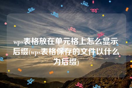 wps表格放在单元格上怎么显示后缀(wps表格保存的文件以什么为后缀)