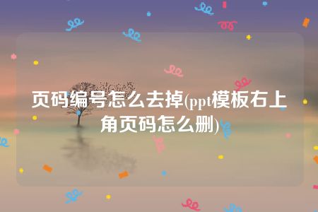 页码编号怎么去掉(ppt模板右上角页码怎么删)