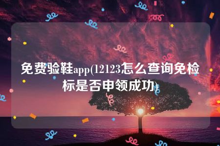 免费验鞋app(12123怎么查询免检标是否申领成功)