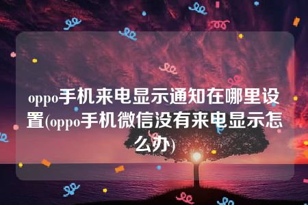 oppo手机来电显示通知在哪里设置(oppo手机微信没有来电显示怎么办)