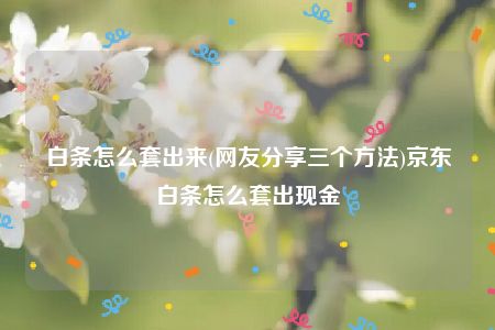 白条怎么套出来(网友分享三个方法)京东白条怎么套出现金