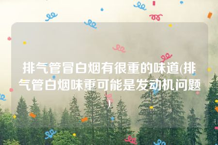 排气管冒白烟有很重的味道(排气管白烟味重可能是发动机问题)