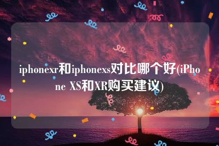 iphonexr和iphonexs对比哪个好(iPhone XS和XR购买建议)