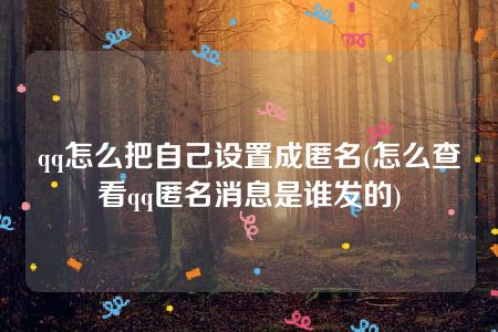 qq怎么把自己设置成匿名(怎么查看qq匿名消息是谁发的)