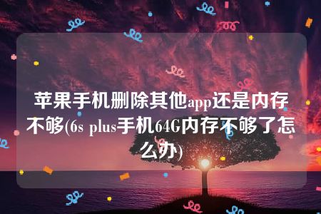 苹果手机删除其他app还是内存不够(6s plus手机64G内存不够了怎么办)