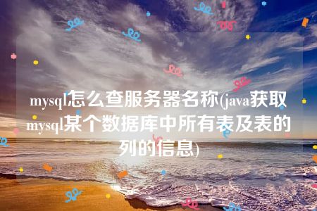 mysql怎么查服务器名称(java获取mysql某个数据库中所有表及表的列的信息)