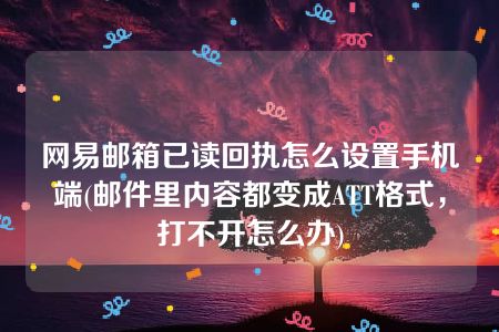 网易邮箱已读回执怎么设置手机端(邮件里内容都变成ATT格式，打不开怎么办)