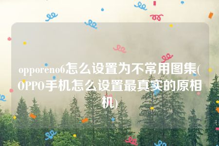 opporeno6怎么设置为不常用图集(OPPO手机怎么设置最真实的原相机)