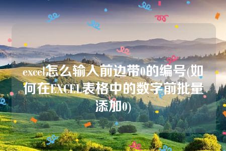 excel怎么输入前边带0的编号(如何在EXCEL表格中的数字前批量添加0)