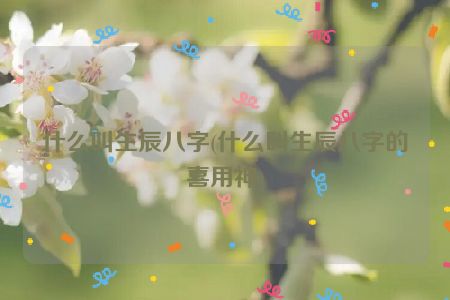 什么叫生辰八字(什么叫生辰八字的喜用神)