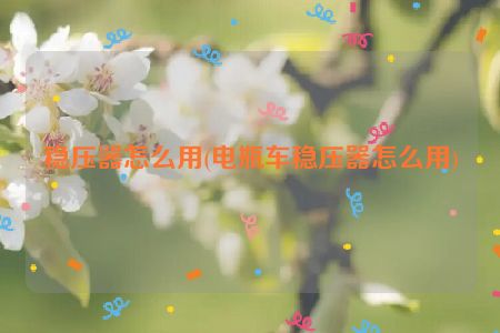 稳压器怎么用(电瓶车稳压器怎么用)