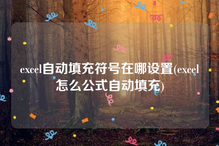 excel自动填充符号在哪设置(excel怎么公式自动填充)