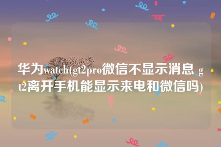 华为watch(gt2pro微信不显示消息 gt2离开手机能显示来电和微信吗)