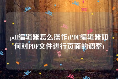 pdf编辑器怎么操作(PDF编辑器如何对PDF文件进行页面的调整)