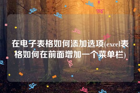 在电子表格如何添加选项(excel表格如何在前面增加一个菜单栏)