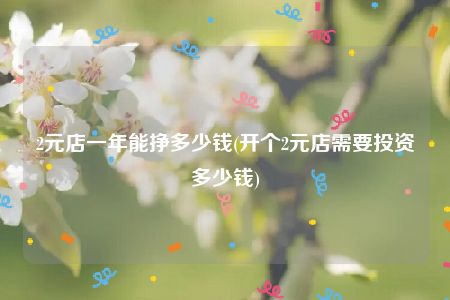 2元店一年能挣多少钱(开个2元店需要投资多少钱)