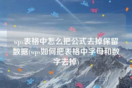 wps表格中怎么把公式去掉保留数据(wps如何把表格中字母和数字去掉)