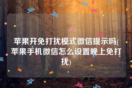 苹果开免打扰模式微信提示吗(苹果手机微信怎么设置晚上免打扰)