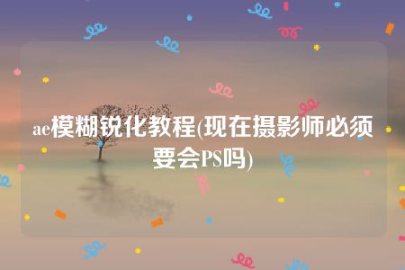 ae模糊锐化教程(现在摄影师必须要会PS吗)