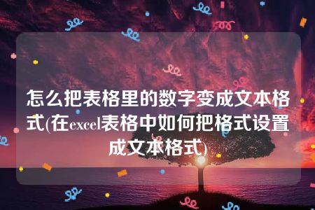 怎么把表格里的数字变成文本格式(在excel表格中如何把格式设置成文本格式)