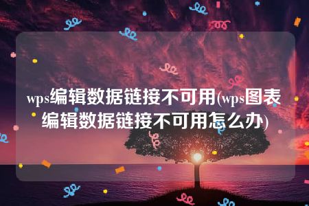 wps编辑数据链接不可用(wps图表编辑数据链接不可用怎么办)