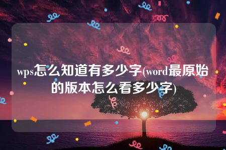 wps怎么知道有多少字(word最原始的版本怎么看多少字)