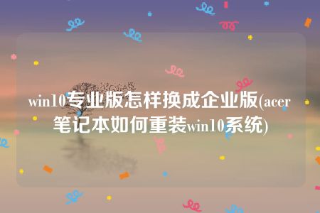 win10专业版怎样换成企业版(acer笔记本如何重装win10系统)