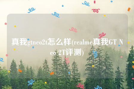 真我gtneo2t怎么样(realme真我GT Neo 2T评测)