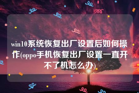 win10系统恢复出厂设置后如何操作(oppo手机恢复出厂设置一直开不了机怎么办)