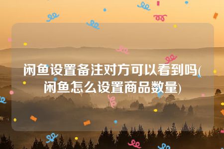 闲鱼设置备注对方可以看到吗(闲鱼怎么设置商品数量)