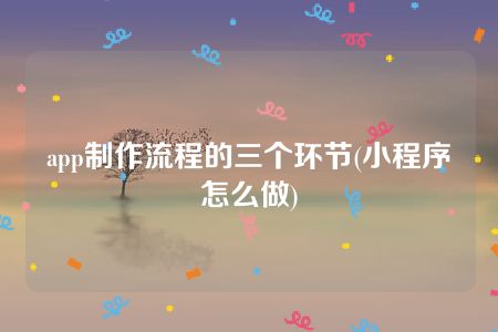 app制作流程的三个环节(小程序怎么做)