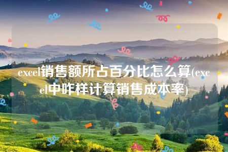 excel销售额所占百分比怎么算(excel中咋样计算销售成本率)