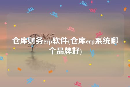 仓库财务erp软件(仓库erp系统哪个品牌好)