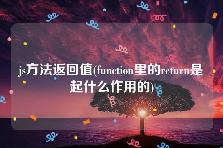 js方法返回值(function里的return是起什么作用的)