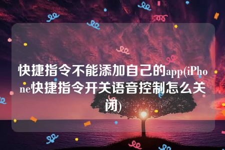 快捷指令不能添加自己的app(iPhone快捷指令开关语音控制怎么关闭)