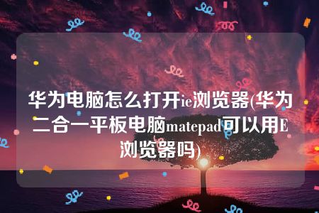 华为电脑怎么打开ie浏览器(华为二合一平板电脑matepad可以用E浏览器吗)