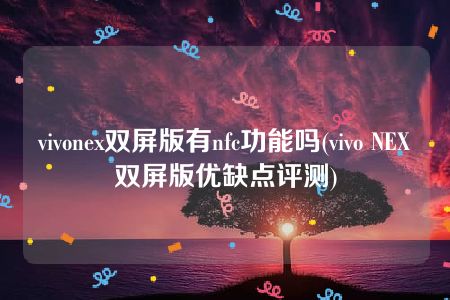 vivonex双屏版有nfc功能吗(vivo NEX双屏版优缺点评测)