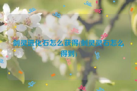 剑灵进化石怎么获得(剑灵灵石怎么得到)