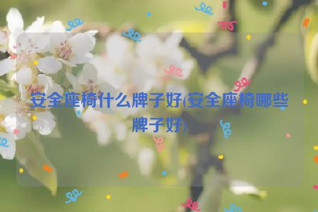 安全座椅什么牌子好(安全座椅哪些牌子好)