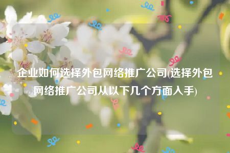 企业如何选择外包网络推广公司(选择外包网络推广公司从以下几个方面入手)