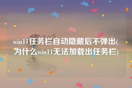 win11任务栏自动隐藏后不弹出(为什么win11无法加载出任务栏)