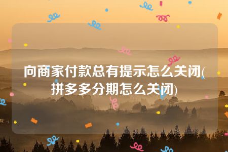 向商家付款总有提示怎么关闭(拼多多分期怎么关闭)