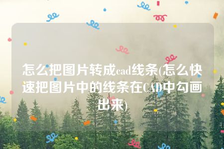 怎么把图片转成cad线条(怎么快速把图片中的线条在CAD中勾画出来)