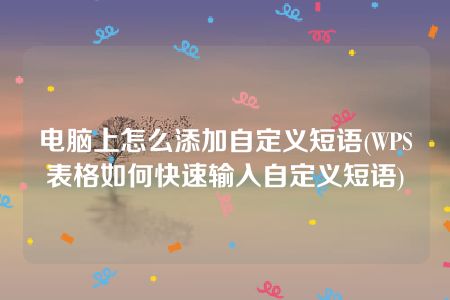 电脑上怎么添加自定义短语(WPS表格如何快速输入自定义短语)