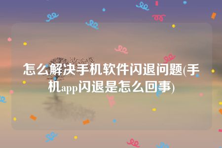 怎么解决手机软件闪退问题(手机app闪退是怎么回事)