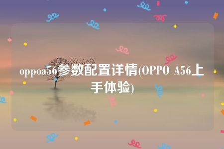 oppoa56参数配置详情(OPPO A56上手体验)