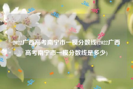 2022广西高考南宁市一模分数线(2022广西高考南宁市一模分数线是多少)